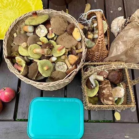 Casa vacanze Chaloupka V Srdci Křivoklátska